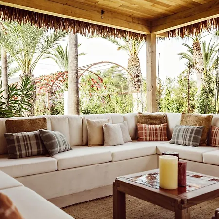 Petunia Ibiza, A Beaumier (adults Only)